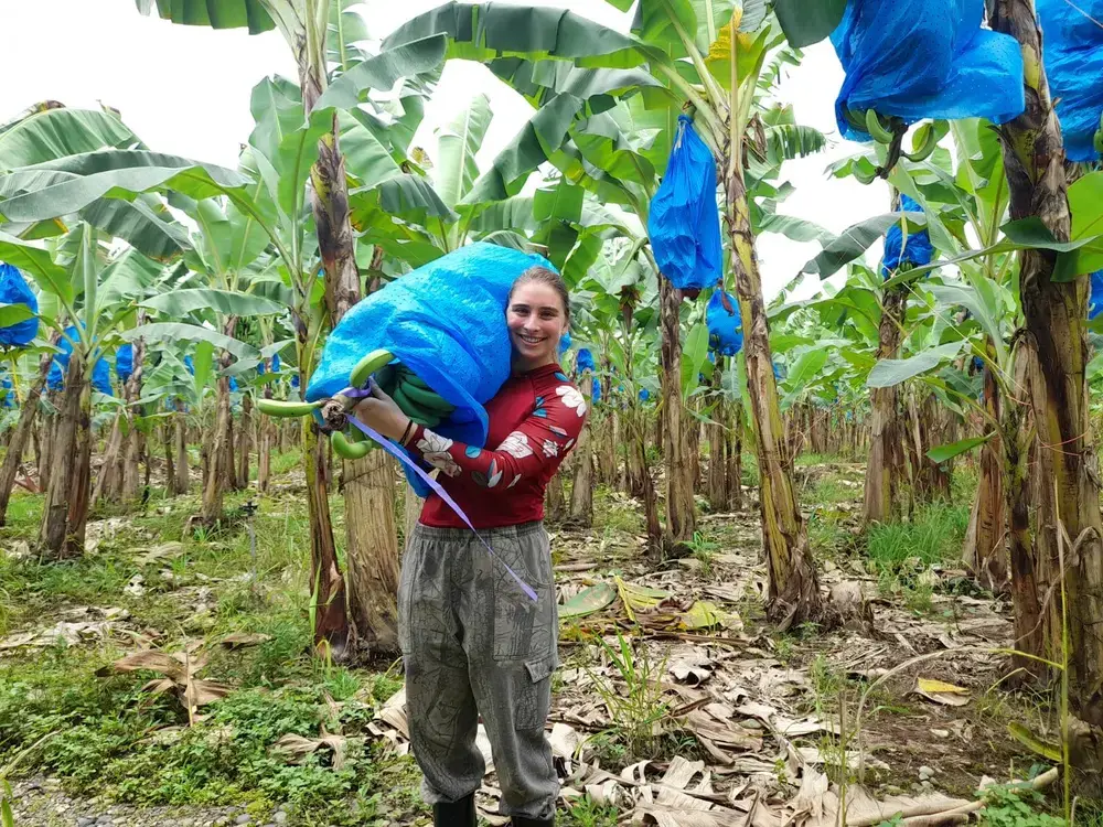 38959736 12d4 48b8 ac00 dc8e0153429f