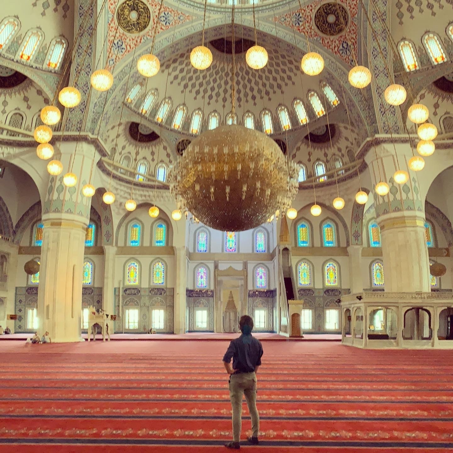 APC Silvia 4 cropped