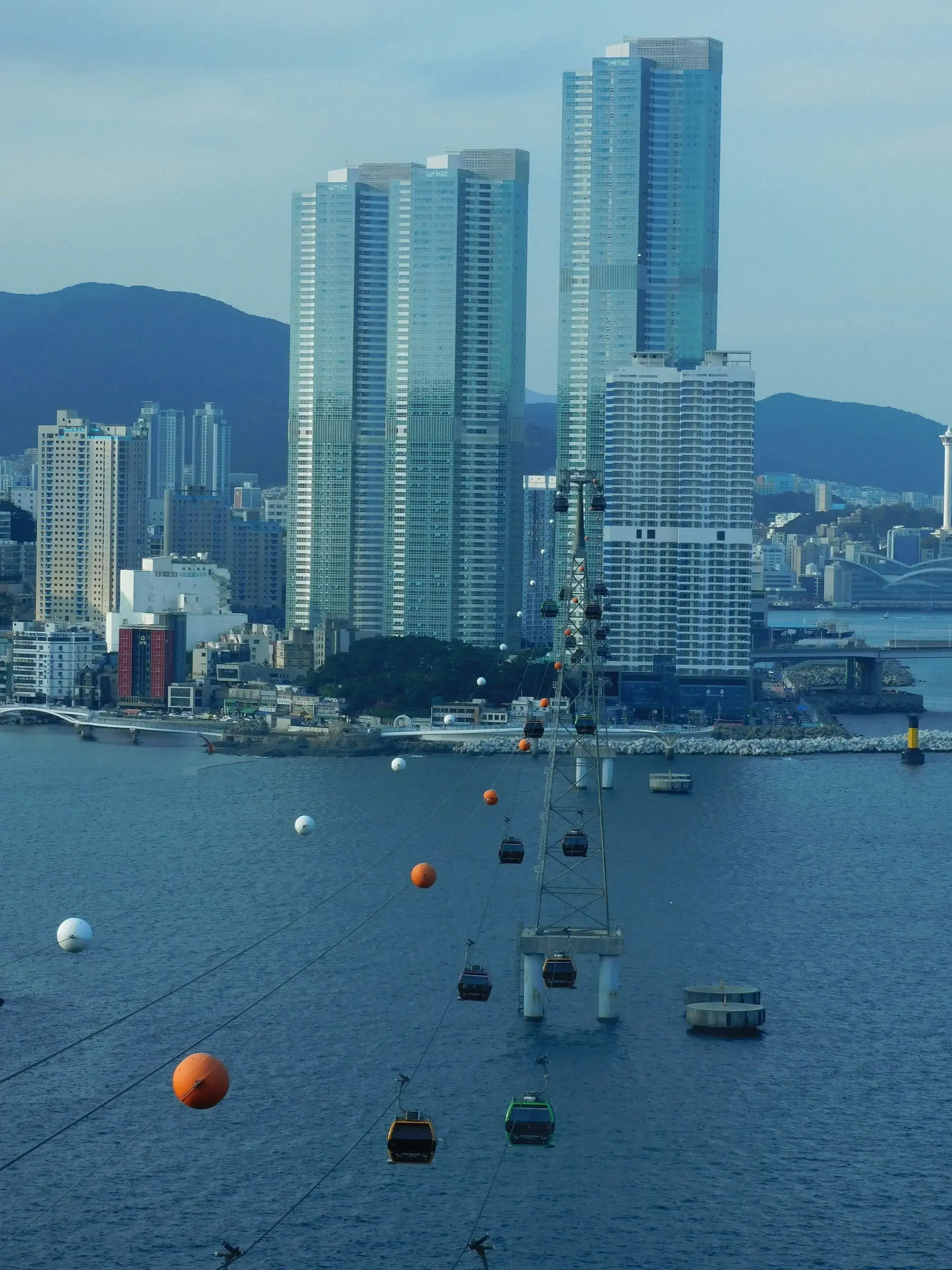 HM Ashley Hajimirsadeghi