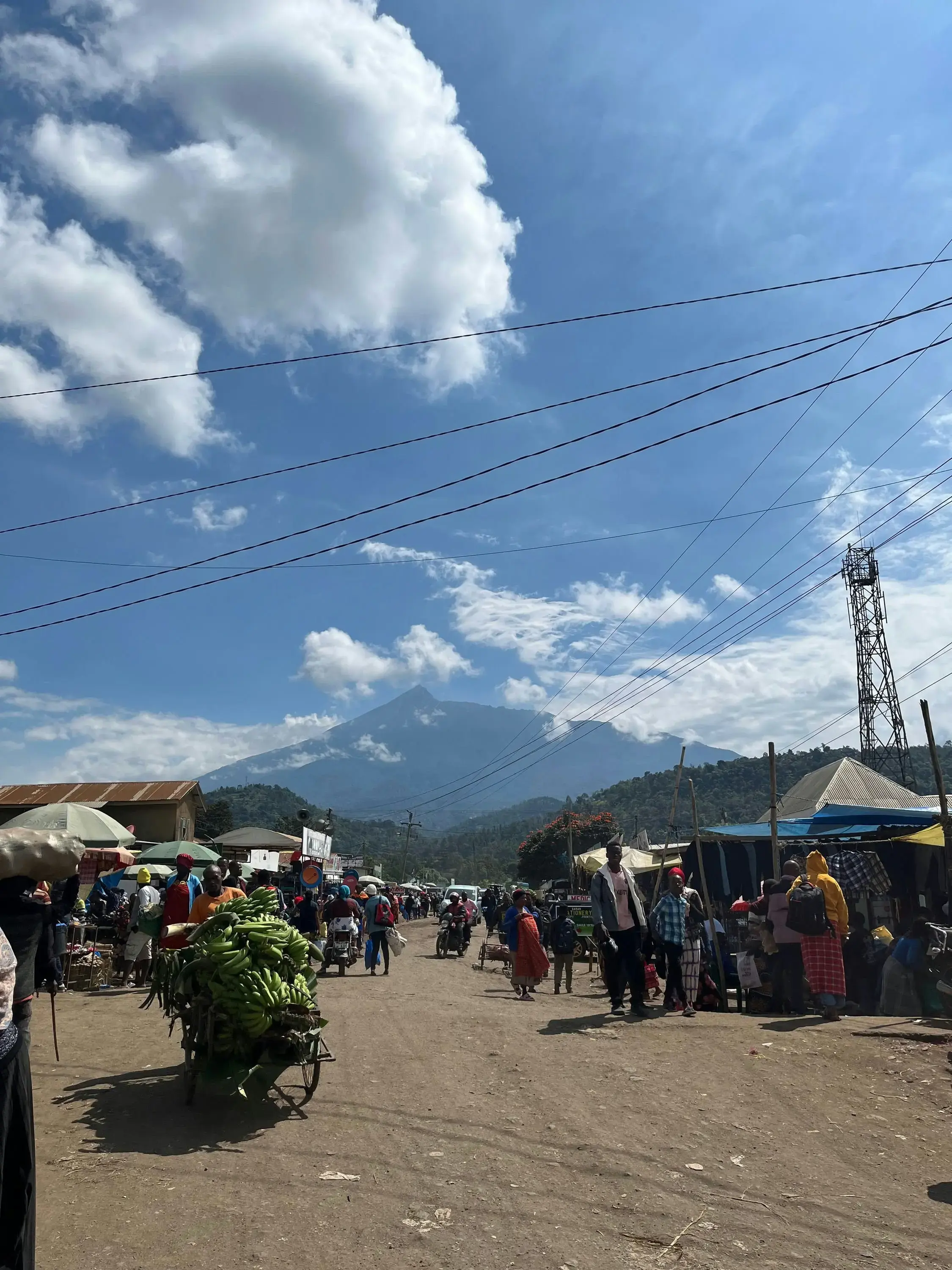 HM Sophia Moore Smith2