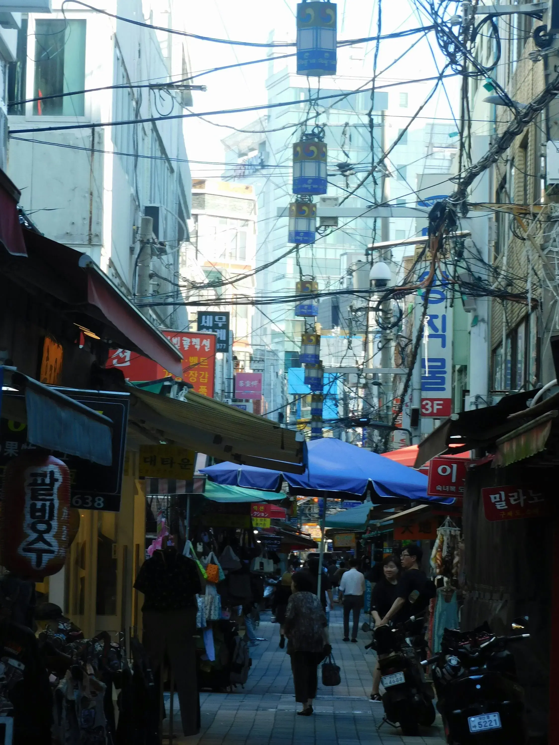 Language Learning in Action Hajimirsadeghi