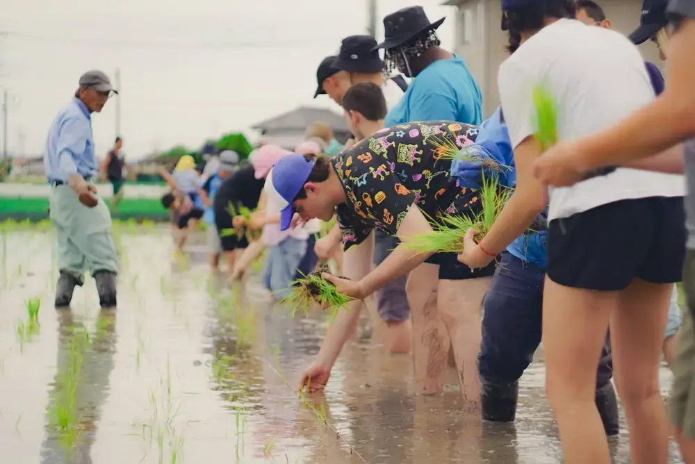 RS50882 90493 2023 11 17 150056 zzcq