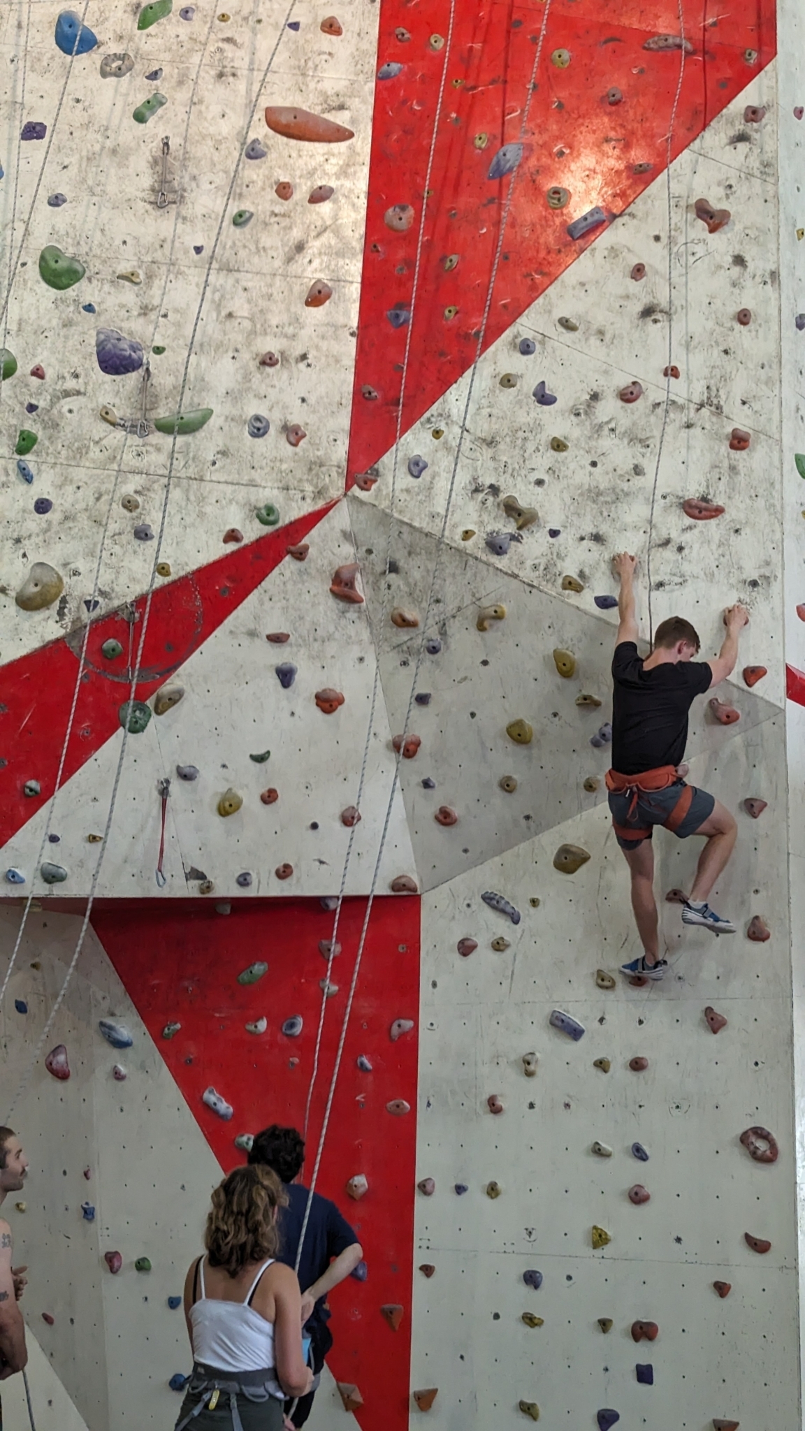 RS50944 Roariker Swenson Language Learning