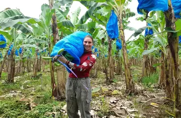 38959736 12d4 48b8 ac00 dc8e0153429f