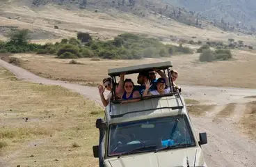 RS43085 66879385 10156752005734856 4318985865515761664 o