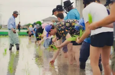 RS50882 90493 2023 11 17 150056 zzcq