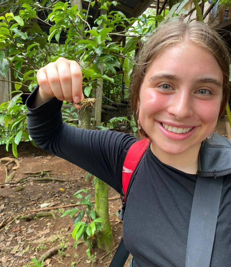 Eefb903e e3d3 4cc8 83d8 d0acff0ac53e